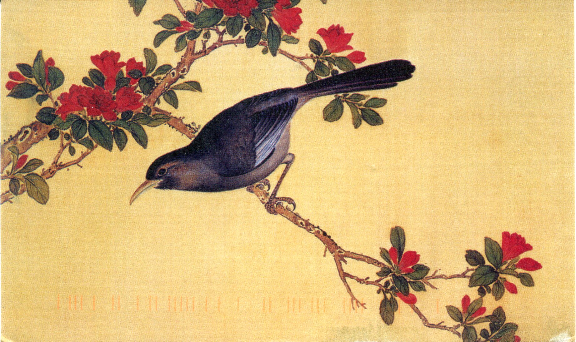 Черная птица на китайском